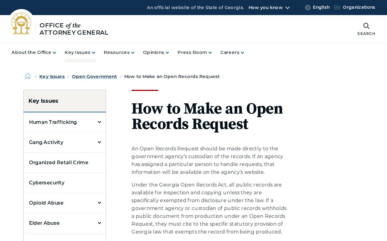 Forsyth County public records Georgia open government guidance